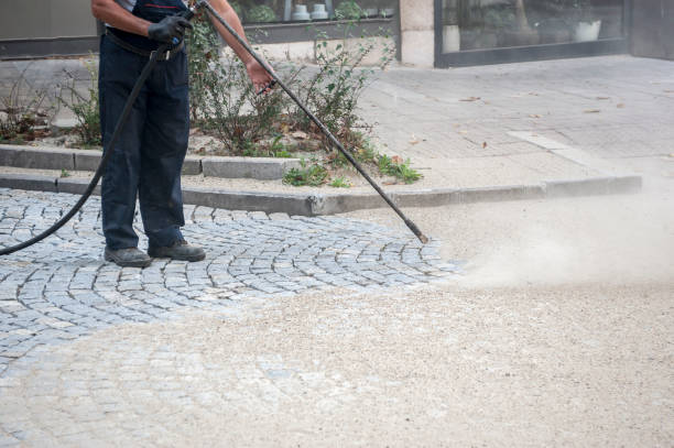 Best Window and Screen Pressure Cleaning in Coplay, PA